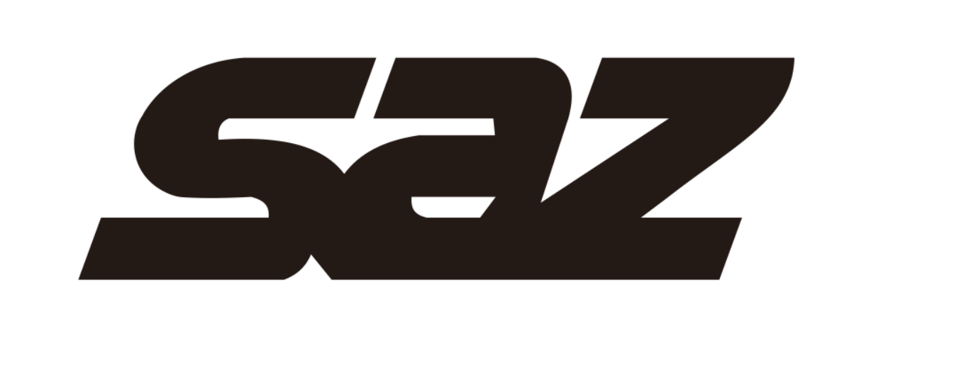 Company Logo1